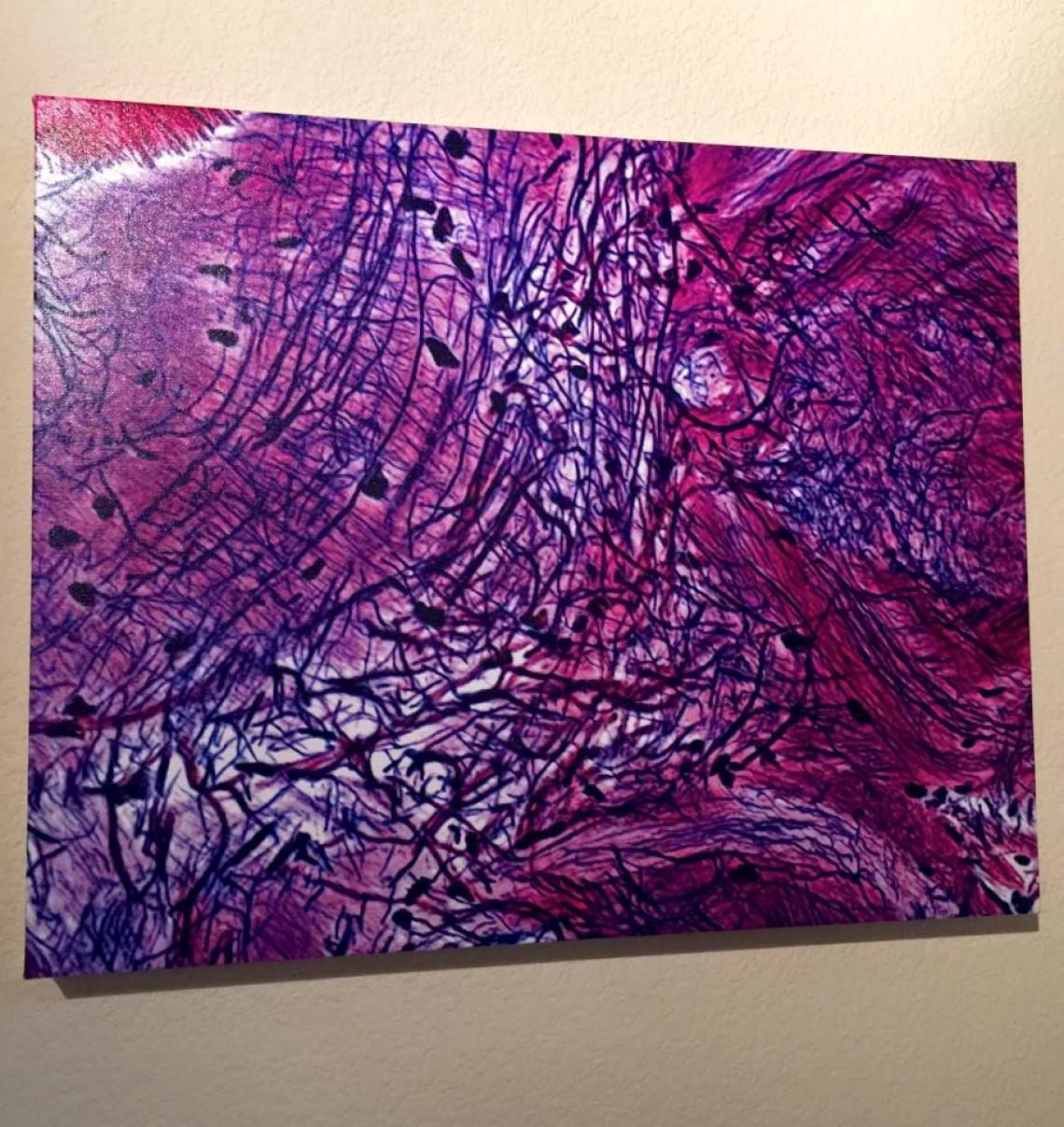 "Memory," mushroom body neurons from the paper wasp, by neuroscience graduate student Gabriella Wolff. "Memory," mushroom body neurons from the paper wasp, by neuroscience graduate student Gabriella Wolff.
